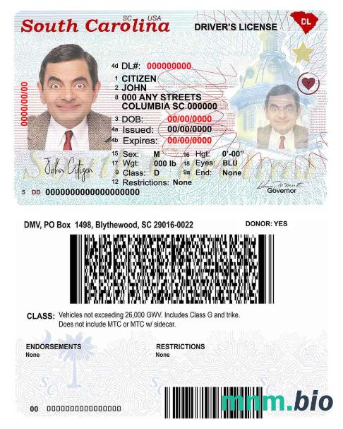 Szablon prawa jazdy stanu Karolina Południowa w USA w formacie PSD (2020-obecnie)